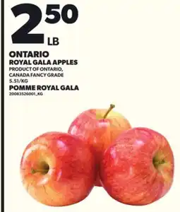 Independent City Market ROYAL GALA APPLES offer