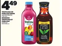 Independent City Market TROPICANA OR PURE LEAF DRINK, 1.36-1.75 L offer