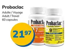 Accès pharma Probaclac Adult / Travel offer