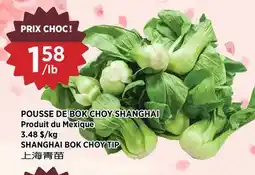 Kim Phat SHANGHAI BOK CHOY TIP offer