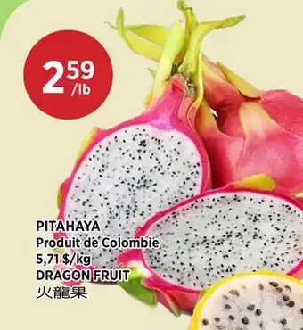 Kim Phat DRAGON FRUIT offer