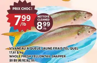 Kim Phat WHOLE FRESH YELLOWTAIL SNAPPER offer