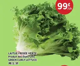 Kim Phat GREEN CURLY LETTUCE offer