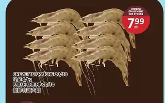 Kim Phat FRESH SHRIMP 20/30 offer