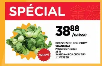 Kim Phat SHANGHAI BOK CHOY TIPS offer