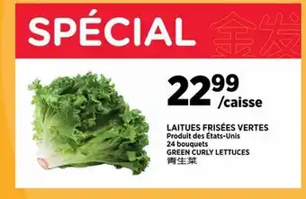 Kim Phat GREEN CURLY LETTUCES offer