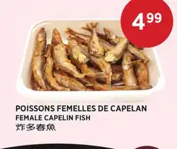 Kim Phat FEMALE CAPELIN FISH offer