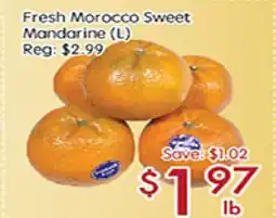 Sunny Food Mart Fresh Morocco Sweet Mandarine(L) offer