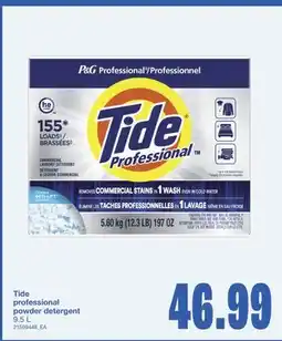 Wholesale Club PROFESSIONAL POWDER DETERGENT, 9.5 L offer