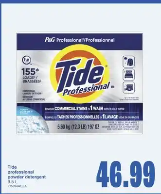 Wholesale Club PROFESSIONAL POWDER DETERGENT, 9.5 L offer