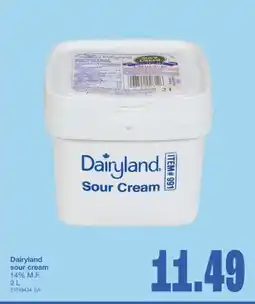 Wholesale Club SOUR CREAM, 2 L offer