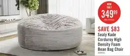 The Brick Sealy Kade Corduroy High Density Foam Bean Bag Chair - Grey offer