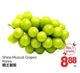 T&T Supermarket SHINE MUSCAT GRAPES offer