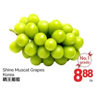 T&T Supermarket SHINE MUSCAT GRAPES offer