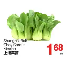 T&T Supermarket SHANGHAI BOK CHOY SPROUT offer