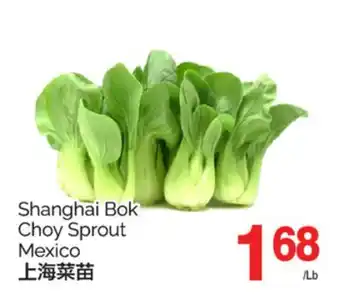 T&T Supermarket SHANGHAI BOK CHOY SPROUT offer