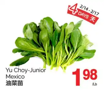 T&T Supermarket YU CHOY JUNIOR MEXICO offer