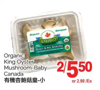 T&T Supermarket ORGANIC KING OYSTER MUSHROOM BABY CANADA offer