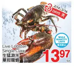 T&T Supermarket LIVE LOBSTER-SINGLE CLAW offer