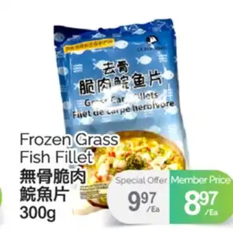 T&T Supermarket FROZEN GRASS FISH FILLET,300G offer