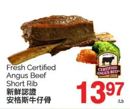 T&T Supermarket FRESH CERTIFIED ANGUS BEEF SHORT RIB offer