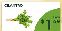 Food World Supermarket CILANTRO offer