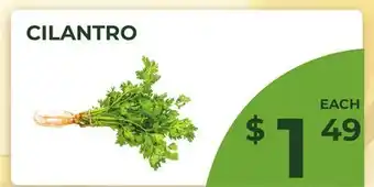 Food World Supermarket CILANTRO offer