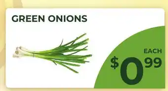 Food World Supermarket GREEN ONIONS offer