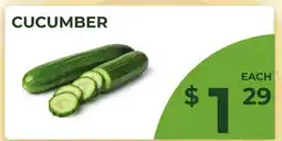 Food World Supermarket CUCUMBER offer