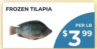 Food World Supermarket FROZEN TILAPIA offer