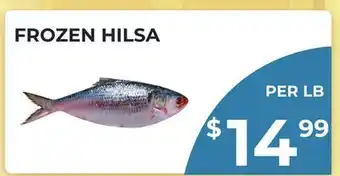 Food World Supermarket FROZEN HILSA offer