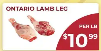 Food World Supermarket ONTARIO LAMB LEG offer