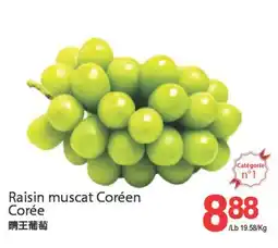 T&T Supermarket RAISIN MUSCAT CORÉEN CORÉEN offer