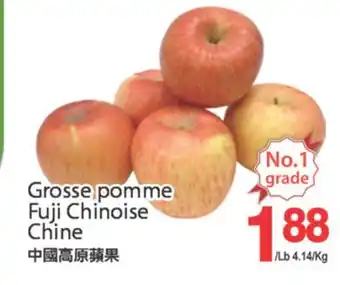 T&T Supermarket GROSSE POMME FUJI CHINOISE offer