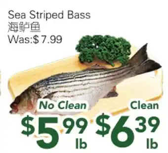 Ample Food Market Sea Striped Bass offer