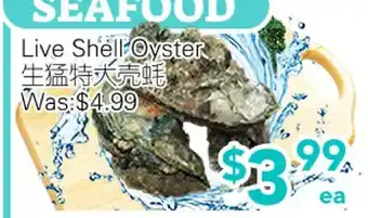 Ample Food Market Live Shell Oyster offer