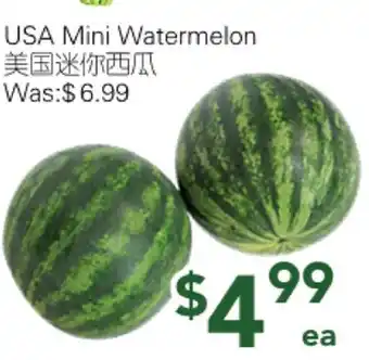 Ample Food Market USA Mini Watermelon offer