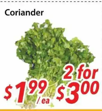 Bestco Food Mart Coriander offer