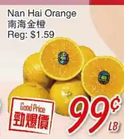 Foody Mart Nan Hai Orange offer