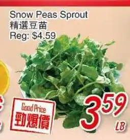 Foody Mart SNOW PEAS SPROUT offer