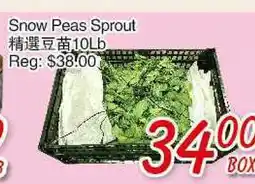 Foody Mart Snow Peas Sprout offer