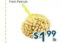 Oceans Fresh Food Market Fresh Peanuts offer