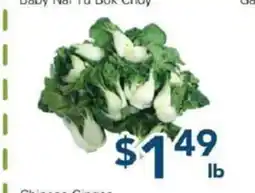 Oceans Fresh Food Market Baby Nai Yu Bok Choy offer