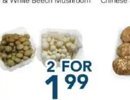 Oceans Fresh Food Market Brown & White Beech Mushroom offer