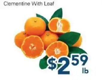 Oceans Fresh Food Market Clementine With Leaf offer