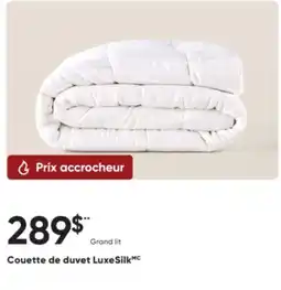 Dormez Vous Couette de duvet LuxeSilk offer