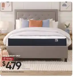 Dormez Vous Distinction Series Delaney Mattress offer