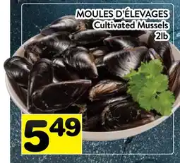 Supermarché PA MOULES D'ÉLEVAGES | Cultivated Mussels offer