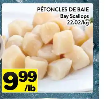 Supermarché PA PÉTONCLES DE BAIE | Bay Scallops offer