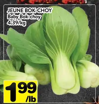 Supermarché PA JEUNE BOK-CHOY | Baby Bok-choy offer